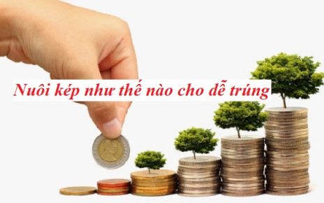 Nuôi kép như thế nào cho dễ trúng, lãi cao